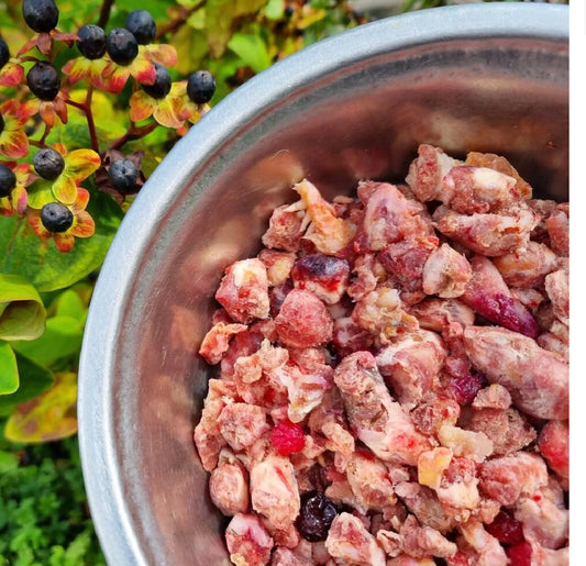 PB Raw - Boneless Beef  And Berries 1kg