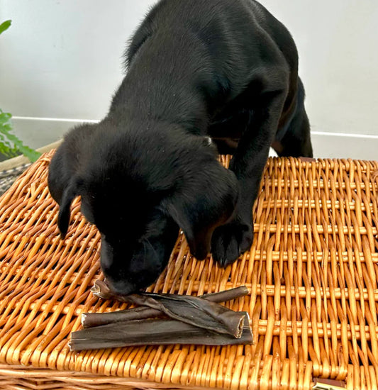 Venison Skin Chew