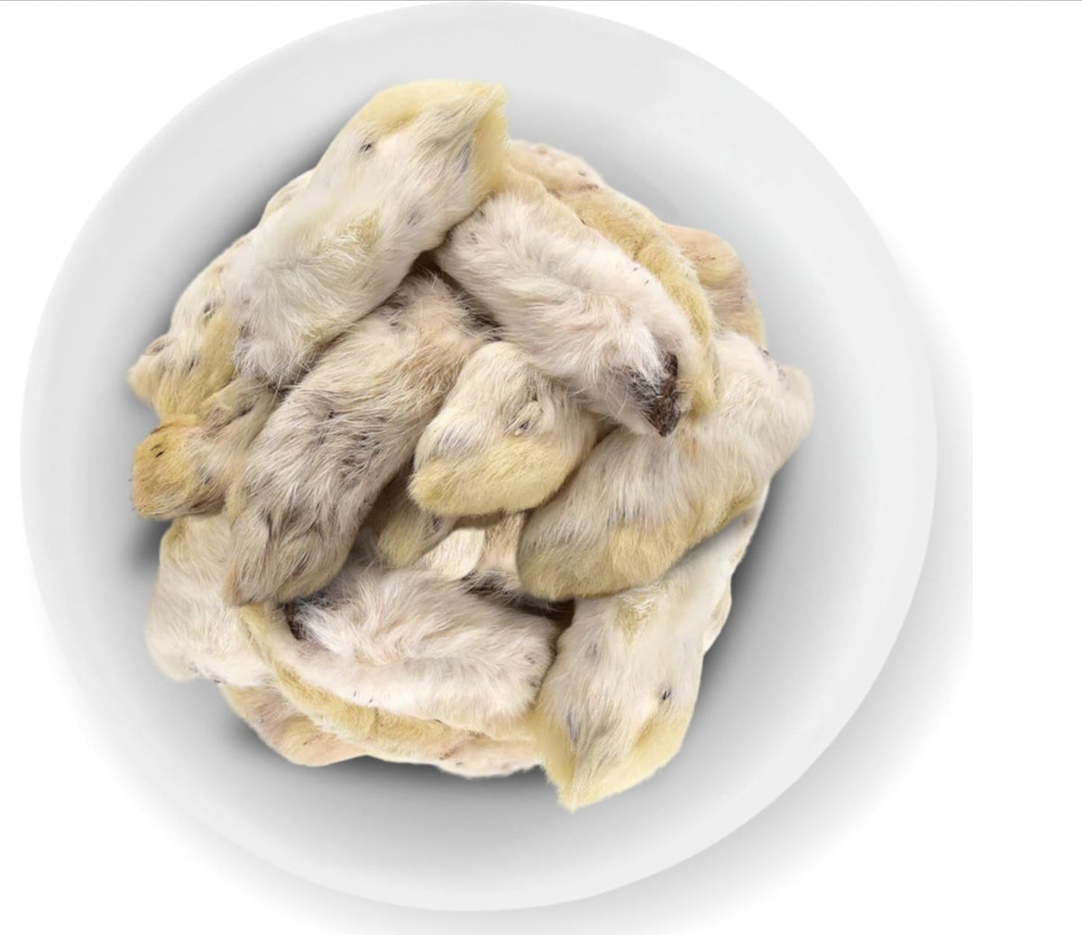 Rabbit Feet With Fur- Natural Tooth Brush