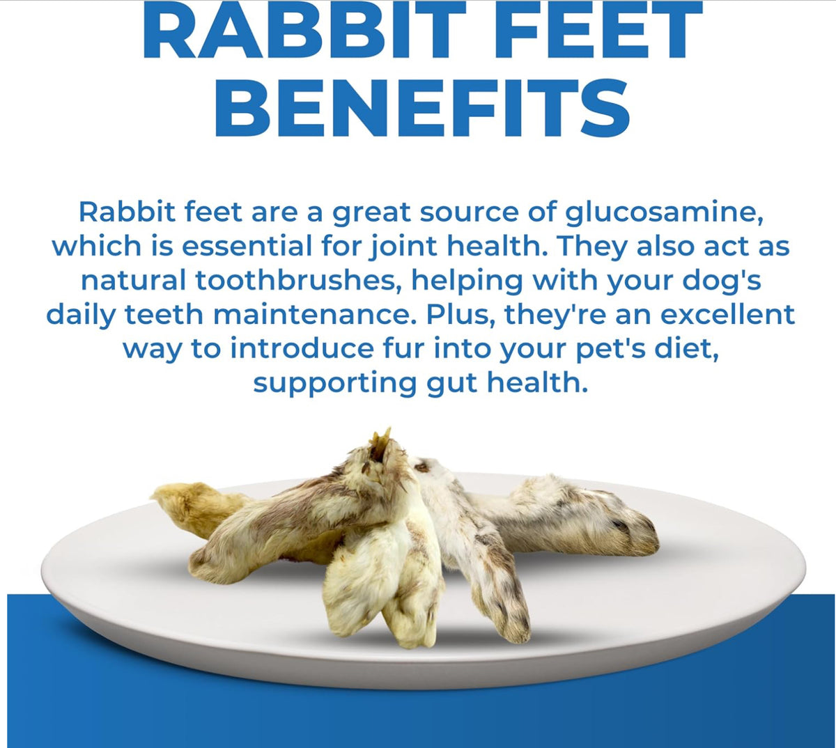 Rabbit Feet With Fur- Natural Tooth Brush