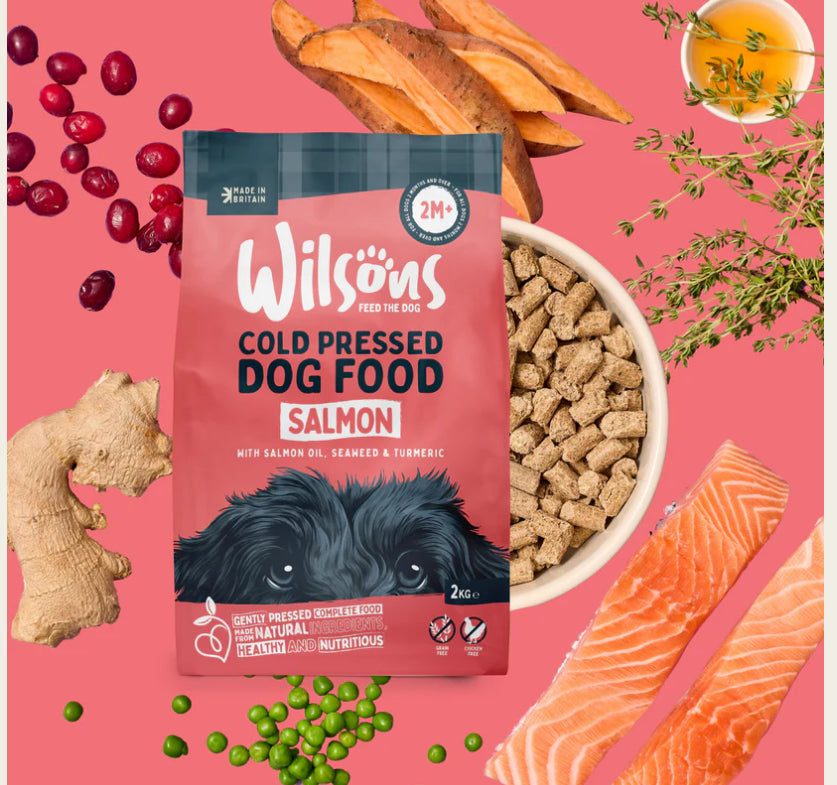 Cold Pressed Salmon- This Is Not Kibble 👌🏻