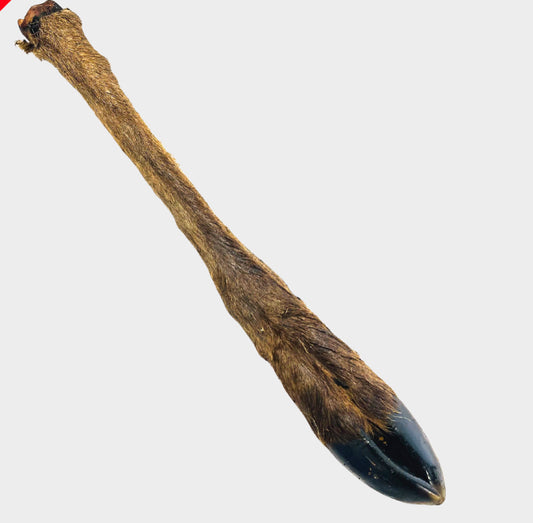 Large Venison Legs