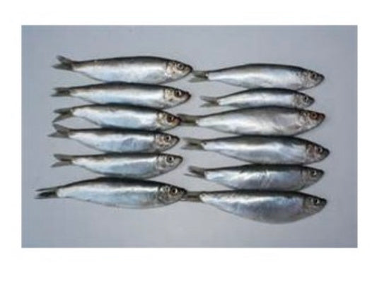 Durham- Frozen Sprats 1kg