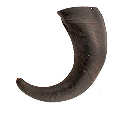 Large Buffalo Horn- 100% natural chew